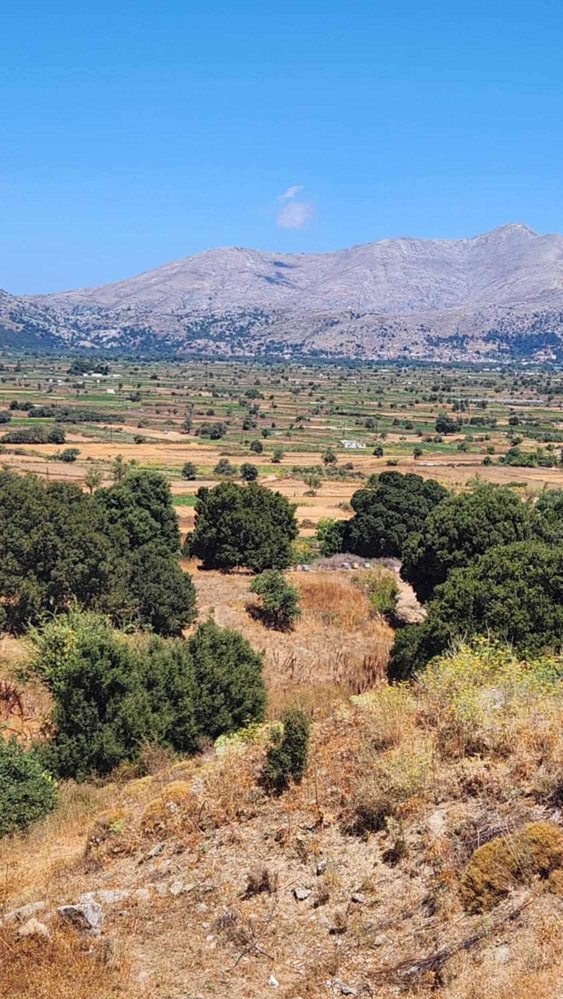 Dionysus Lasithi Plateau Magoulás Exteriör bild